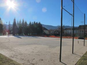 Začetek del decembra 2016